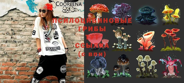 MESCALINE Бородино